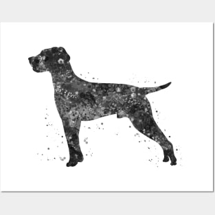 hungarian vizsla dog black and white Posters and Art
